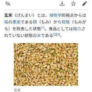 玄米　1キロ250円
