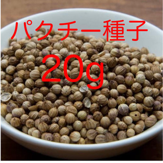 パクチー (コリアンダー・香菜(シャンツァイ))種子　
