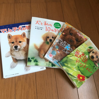 児童書4冊　