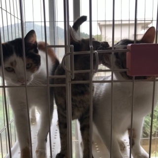 名前変えても大丈夫です。