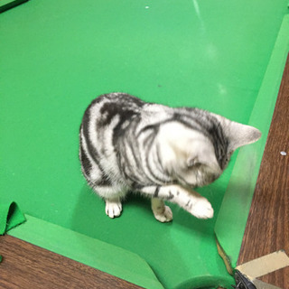 可児市で