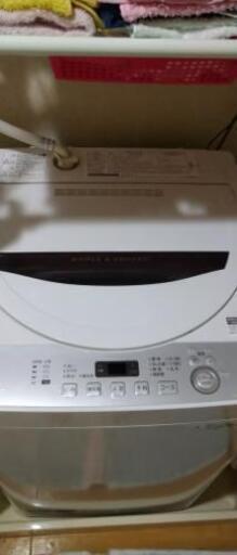 洗濯機 SHARP 5.5kg
