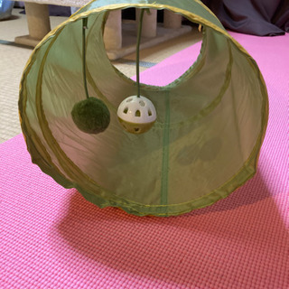 猫トンネル