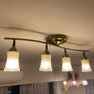 照明　シーリングスポットライト