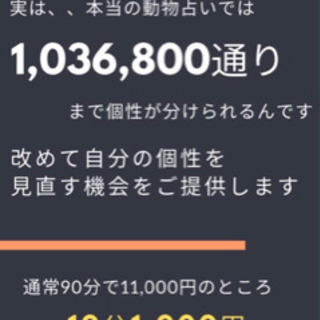 🦁動物占い&飲み会🍻