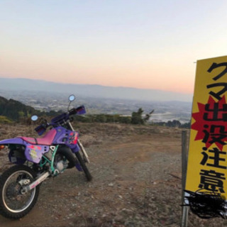 KDX１２５SRの画像
