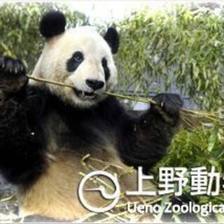 上野　美術館、博物館　動物園　お供していただけませんか？入館観覧無料 - 友達