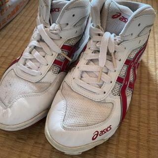 asics　バレーシューズ