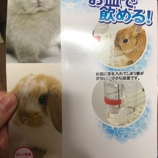 小動物用　水飲み