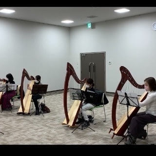 ハープは気軽に始められる楽器です！の画像