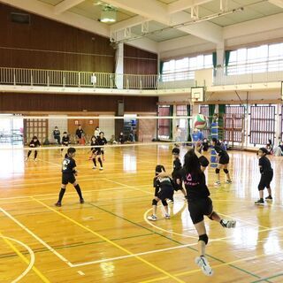 若勝VB - 那覇市若狭で活動している小学生バレーボールチーム - 部員募集中！の画像