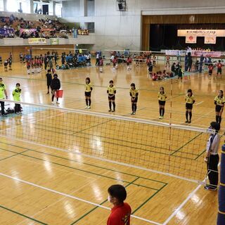 若勝VB - 那覇市若狭で活動している小学生バレーボールチーム - 部員募集中！の画像