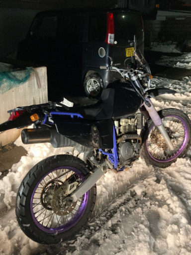 決まりましたーTT250レイド