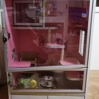 小動物用木製ゲージ