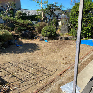 剪定、草抜きいたします