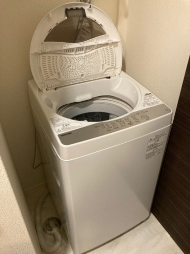 TOSHIBA 東芝 AW-5G6 2019年製 全自動電気洗濯機