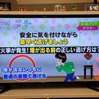 [商談中]50型テレビ