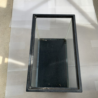 ガラス水槽30cm