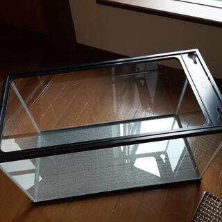 水槽譲ります！の画像