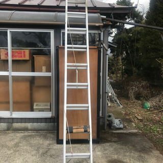予定者仮決め　はしごの画像