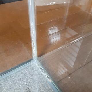 水槽譲ります！の画像