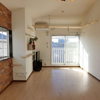 猫ちゃんOK★契約金初期費用が全部無料★肉球キャットウォーク設置...