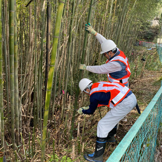 ☆日払い可☆伐採、草刈作業の画像