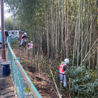☆日払い可☆伐採、草刈作業の画像