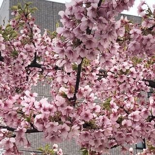 話し相手居ませんか？