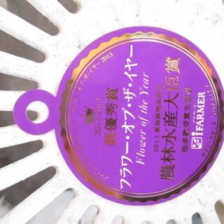 胡蝶蘭　農林水産大臣賞をもらった品種になりますの画像