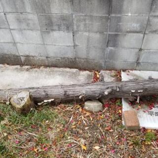 伐採した庭木