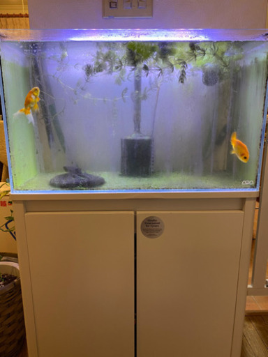 【アクアデザインアマノ】60cm水槽・水槽台・濾過器セット