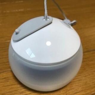 ほおずき-ゆき-