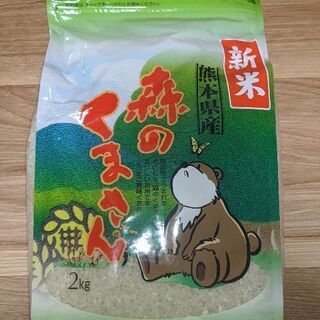 森のくまさん 2kg -4