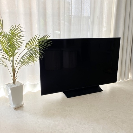 Panasonic VIERA TH-P50ZT5 プラズマ テレビ 50型 2012年製 リモコン