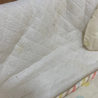 バックdeグーファンの画像