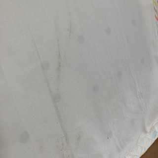 バックdeグーファンの画像