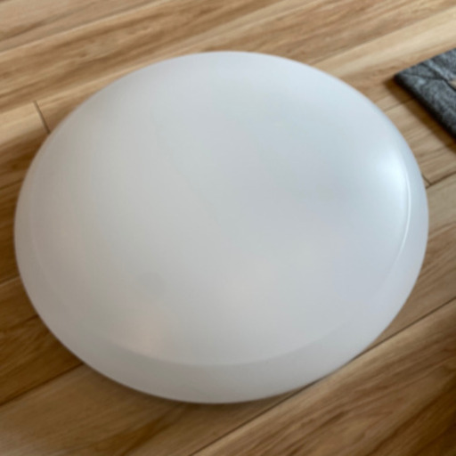 シーディングライト 電気 照明 LED