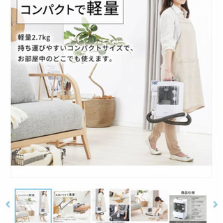 リンサークリーナー(決まりました)の画像