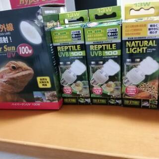 爬虫類飼育のライト類