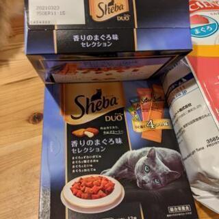 無料 キャットフード ドライフード (未開封)