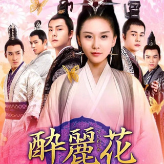 中国ドラマ　酔麗花～エターナル・ラブ～DVD全30卷　日本語字幕...