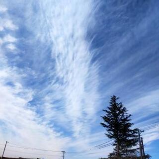 工場構内の清掃