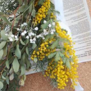 ミモザのロングスワッグの画像