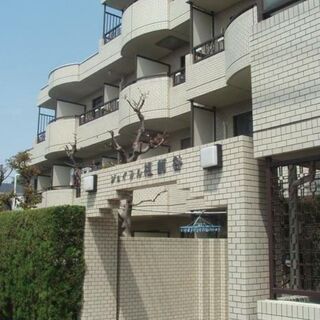 ⭐フリーレント1ヶ月⭐ご成約で商品券2万円❗️❗️仲介手数料無料...