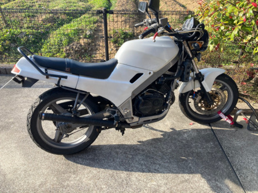 vtz250 3/10まで値下げあり