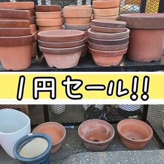 💚🧡💜植木鉢（プランター）、一円セール開催💚🧡💜