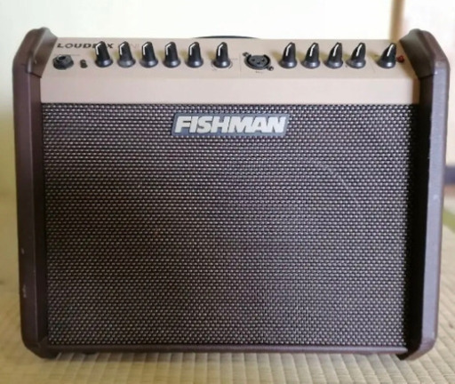 売り切れ　大人気ギターアンプ　Fishman Loudbox Acoustic Instrument Amplifiers 専用カバー付き、電源コード付き、中古美品