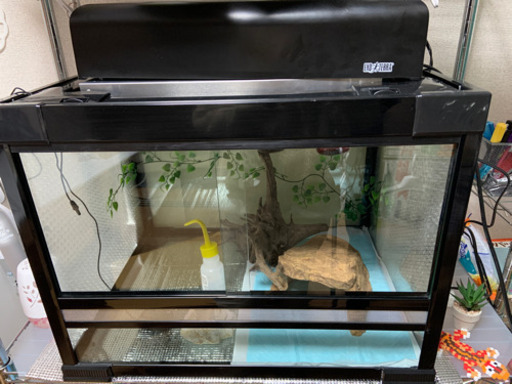 爬虫類飼育用品