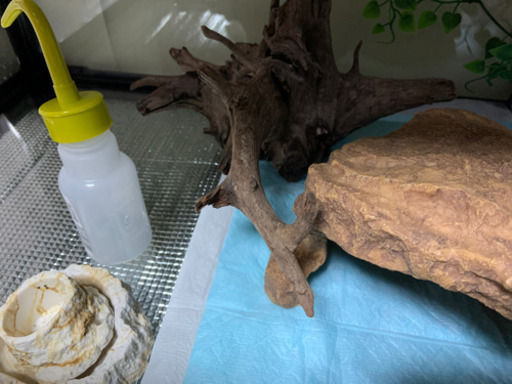 爬虫類飼育用品